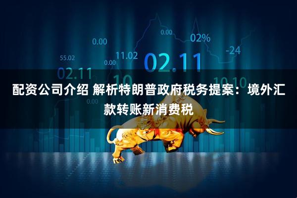 配资公司介绍 解析特朗普政府税务提案：境外汇款转账新消费税