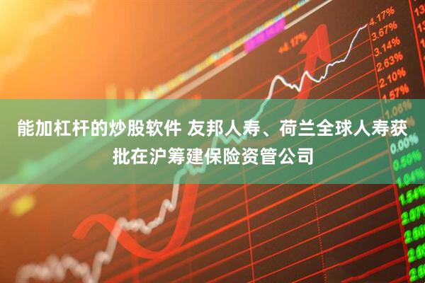 能加杠杆的炒股软件 友邦人寿、荷兰全球人寿获批在沪筹建保险资管公司