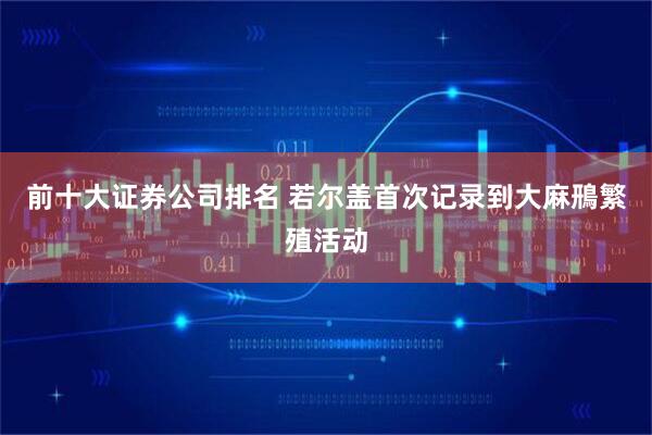 前十大证券公司排名 若尔盖首次记录到大麻鳽繁殖活动
