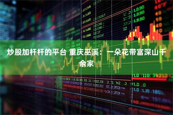炒股加杆杆的平台 重庆巫溪：一朵花带富深山千余家